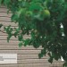 Сайдинг Ю-Пласт TIMBERBLOCK Пихта (Тимберблок) Cахалинская купить в Калининграде