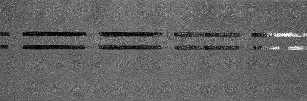 Коньково-карнизная черепица Docke Premium, черника купить в Калининграде